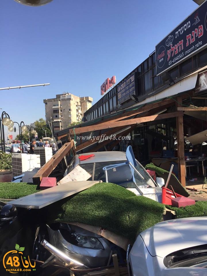 acc janob yaffa (3).jpg